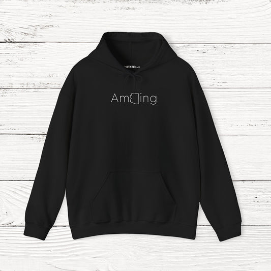 AmAZing – State of Arizona Hoodie